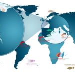 ベトナム語留学のデメリット・ダメな部分も知っておこう