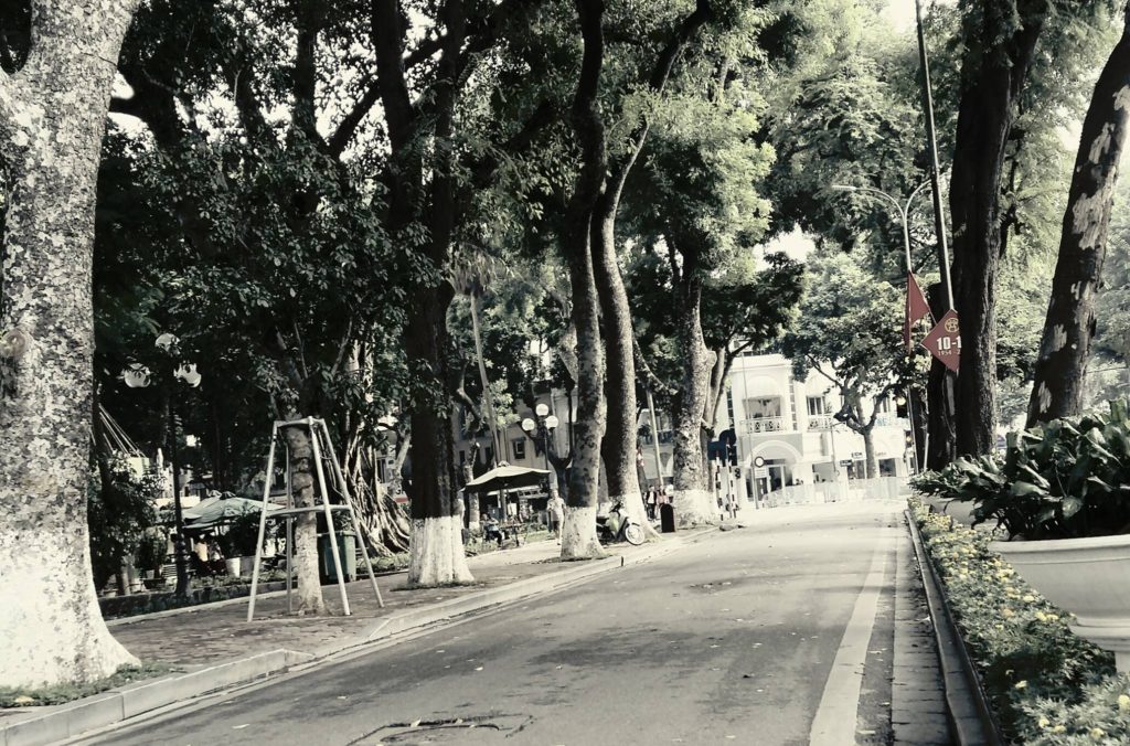 IT留学と英語はベトナム1択・セブ島よりオススメな理由を徹底紹介