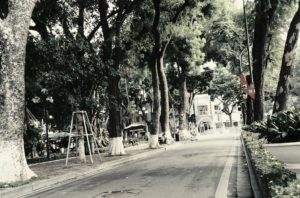 IT留学と英語はベトナム1択・セブ島よりオススメな理由を徹底紹介