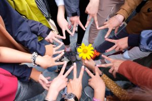 ベトナム正規留学の代行入学手続き・有料相談を開始します